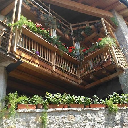 La Cort Di Nonna Rosa Bed & Breakfast โมรี ภายนอก รูปภาพ