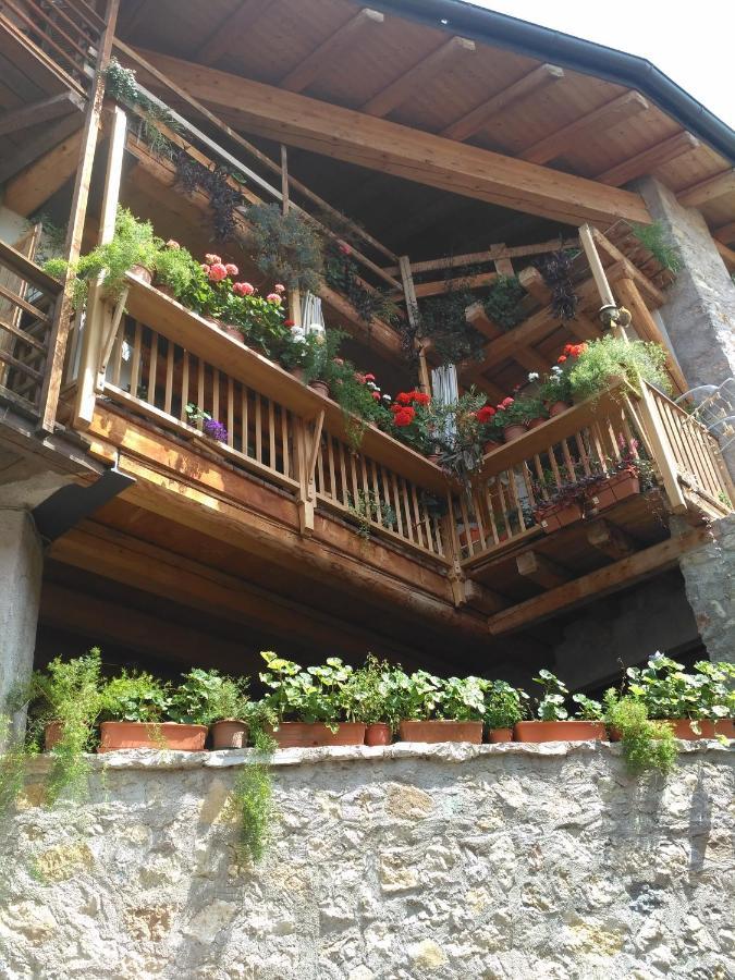 La Cort Di Nonna Rosa Bed & Breakfast โมรี ภายนอก รูปภาพ